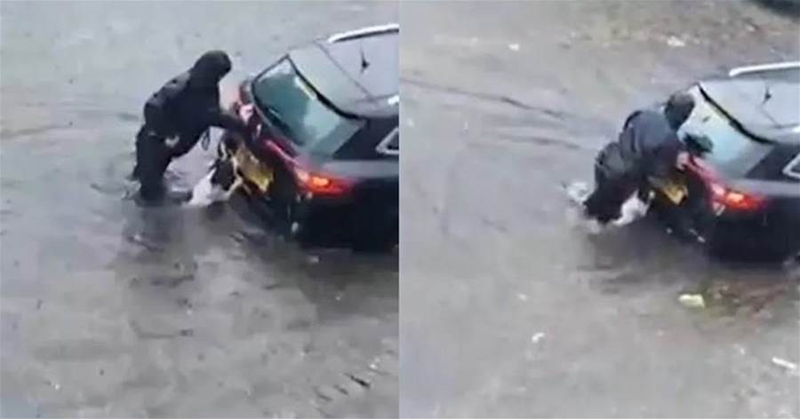 車困洪水中，暖汪見媽推車竟然遊過來一起推，狗狗：也算我一份？