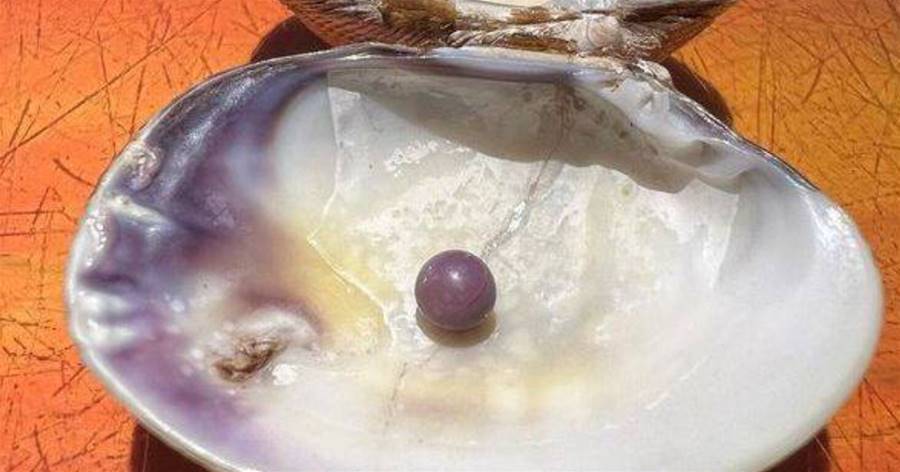 她花600元吃蛤蜊咬到硬硬圓球 竟是「超罕見紫珍珠」專家鑑定後直喊賺翻